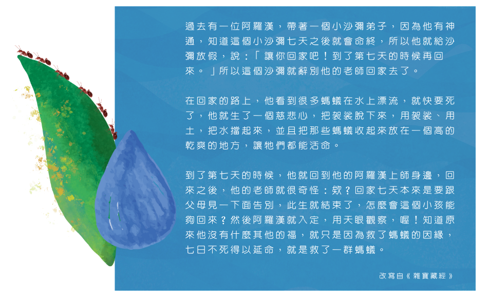 protectanimals_slides01
