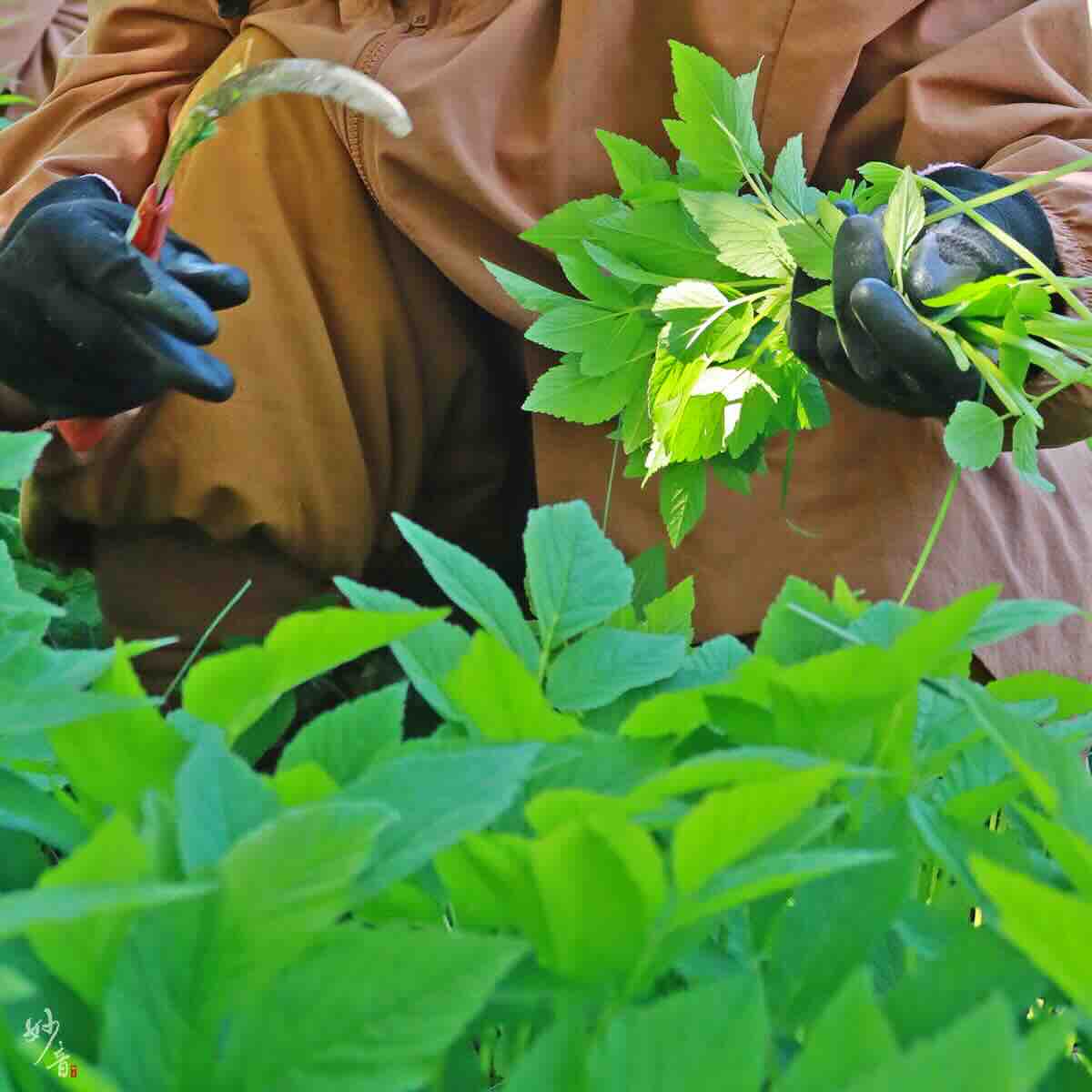 跟著法師去尋寶