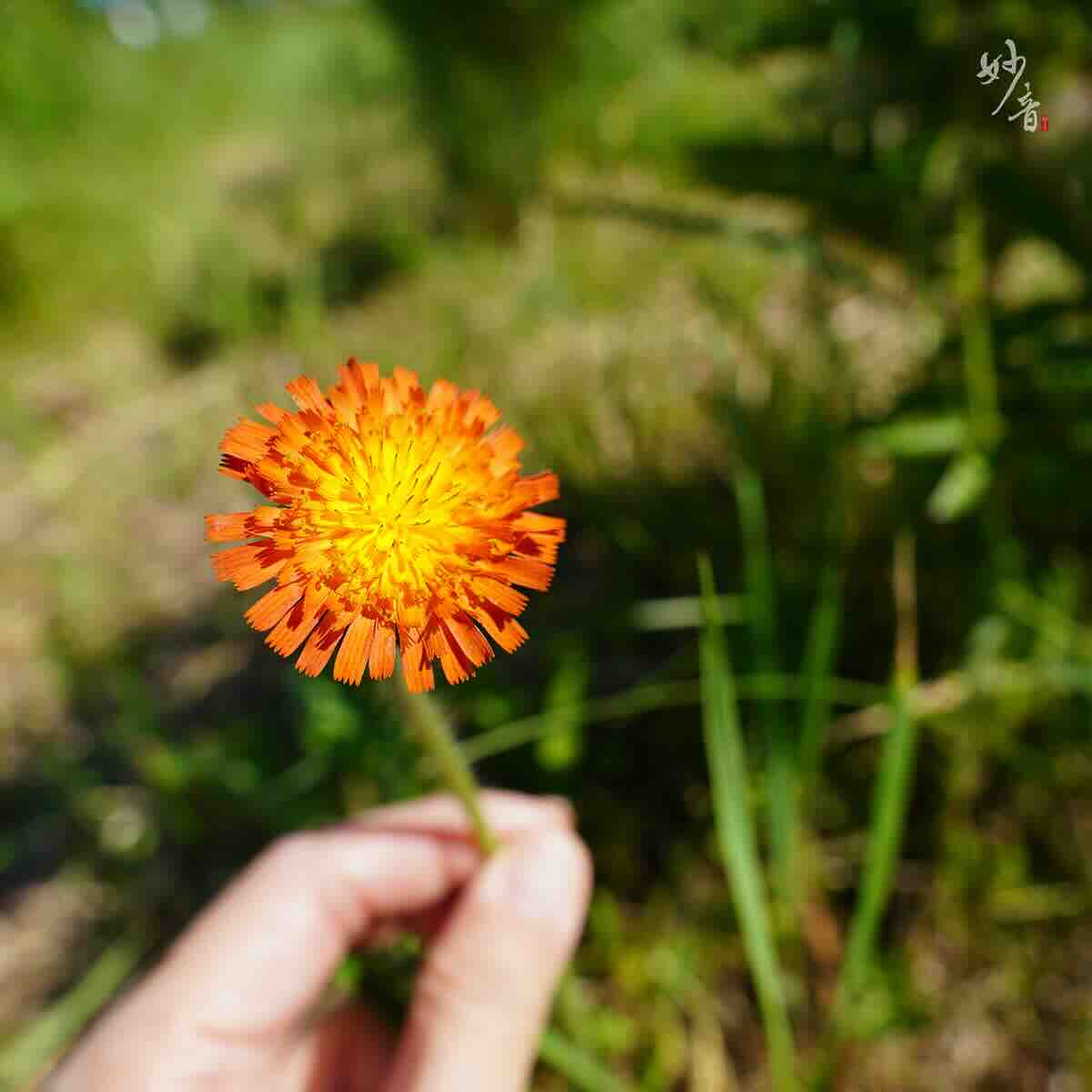 心甘情願 為你改變